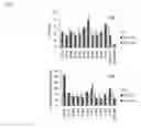 Fig. 04 - Anti-DLL3 antibody