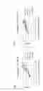 Fig. 06 - Anti-DLL3 antibody