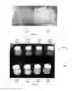Fig. 02 - BLEND HAVING A STYRENE RESIN AND POLYPHENYLENE ETHER