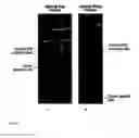 Fig. 02 - Bioactive renal cells