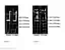 Fig. 03 - Bioactive renal cells