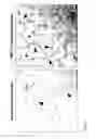 Fig. 13 - Bioactive renal cells