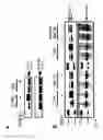 Fig. 15 - Bioactive renal cells