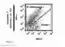 Fig. 18 - Bioactive renal cells