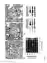 Fig. 20 - Bioactive renal cells