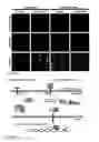 Fig. 21 - Bioactive renal cells