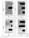 Fig. 28 - Bioactive renal cells