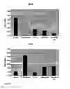 Fig. 41 - Bioactive renal cells