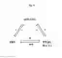 Fig. 22 - TREATING DISEASES ASSOCIATED WITH PGC1-ALPHA BY MODULATING MICRORNAS MIR-130A AND MIR-130B