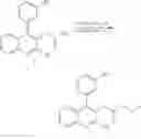 Fig. 445 - Formats for organic compounds for use in RNA interference