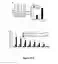 Fig. 06 - Compositions and methods for modulating neuronal excitability and motor behavior