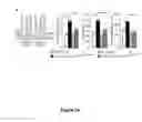 Fig. 07 - Compositions and methods for modulating neuronal excitability and motor behavior