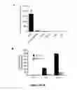 Fig. 09 - Compositions and methods for modulating neuronal excitability and motor behavior