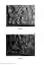 Fig. 03 - Chrome tanning process