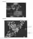 Fig. 02 - Solid agglomerate of fine metal particles comprising a liquid oily lubricant and method for making same