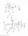 Fig. 11 - Multipositional faucet spout