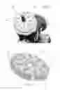 Fig. 04 - Pressure independent hydraulic valve for flow control and regulation