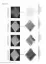 Fig. 09 - Image analyzing apparatus and program