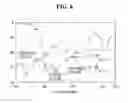 Fig. 09 - Multi-band, multi-polarized wireless communication antenna