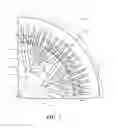 Fig. 02 - Rotor geometry for interior permanent magnet machine having rare earth magnets with no heavy rare earth elements