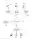 Fig. 01 - REFLECTING MDNS PACKETS