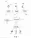 Fig. 02 - REFLECTING MDNS PACKETS