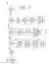 Fig. 09 - Media processing node