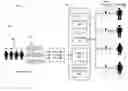 Fig. 01 - Projecting person-level viewership from household-level tuning events