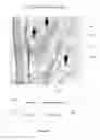 Fig. 06 - Mobile surveillance