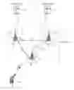 Fig. 01 - Method for D2D communication performed by terminals in wireless communication system, and devices for supporting same