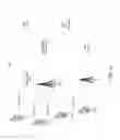 Fig. 02 - Random access in dynamic and shared spectrums