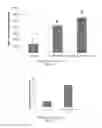 Fig. 07 - Use of Enzymes to Condition Ruminant Feedstocks