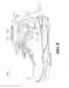 Fig. 07 - Method Including Footwear And Sock Having Aligning Indicia
