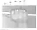 Fig. 01 - Method of gripping a striking apparatus