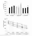 Fig. 02 - PHARMACEUTICAL COMPOSITION FOR CONTROLLING BODY MASS GAIN COMPRISING S-PHENOTROPIL