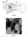 Fig. 06 - Biodegradable Magnetic Nanoparticles and Related Methods