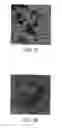 Fig. 07 - Biodegradable Magnetic Nanoparticles and Related Methods