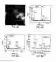 Fig. 08 - Biodegradable Magnetic Nanoparticles and Related Methods