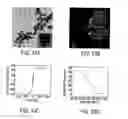 Fig. 12 - Biodegradable Magnetic Nanoparticles and Related Methods