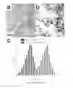 Fig. 04 - Upconverting nanoparticles