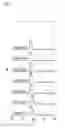 Fig. 04 - Designed repeat proteins binding to serum albumin