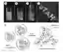 Fig. 01 - Reinforced adhesive complex coacervates and methods of making and using thereof