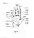 Fig. 02 - Hand Pad