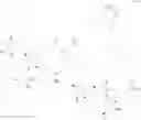 Fig. 167 - Glucose-responsive insulin conjugates