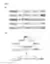Fig. 02 - Engineered yeast for production of enzymes