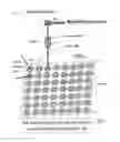 Fig. 14 - Array based sample characterization