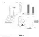 Fig. 04 - Enzyme coupled assay for quantification of protein and peptide binding by SAMDI mass spectrometry
