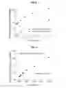 Fig. 09 - PERSONAL GLUCOSE METERS FOR DETECTION AND QUANTIFICATION OF ENZYMES AND METABOLITES BASED ON COENZYME DETECTION