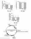 Fig. 09 - Light-activated cation channel and uses thereof