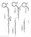 Fig. 09 - Assessing renal structural alterations and outcomes